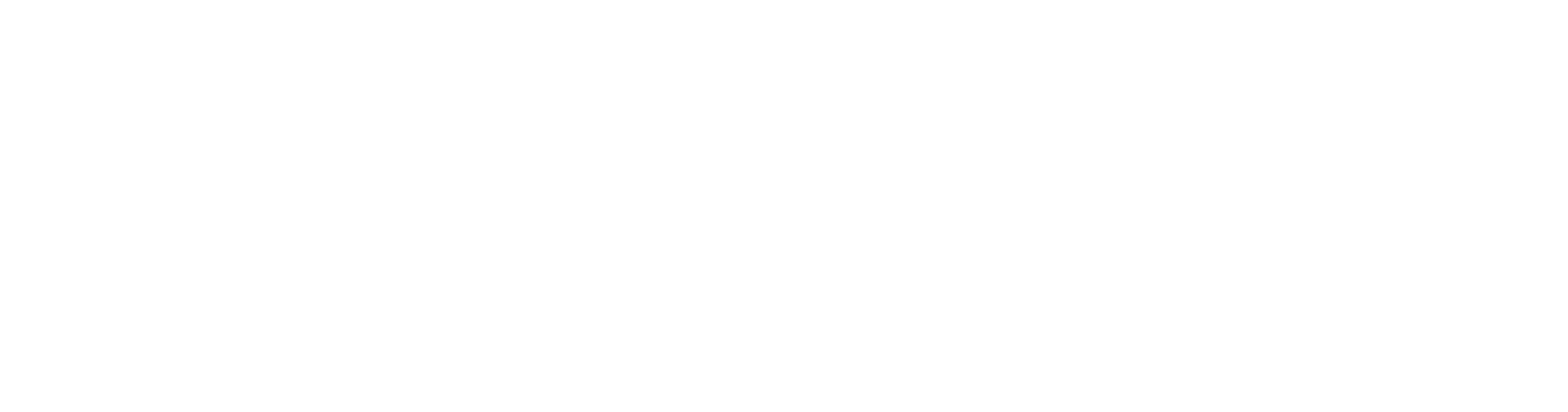 Beckmann & Partner